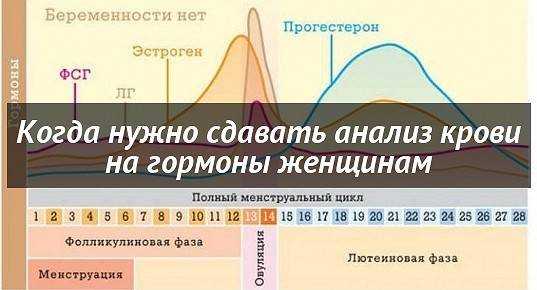 Прогестерон когда сдавать. Половые гормоны по дням цикла. Гормоны в дни цикла. Анализы на гормоны по дням цикла. В какие дни цикла сдавать гормоны женщинам.