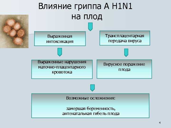 Беременность заболела гриппом. Влияние ОРВИ на плод. Влияние гриппа на беременность и плод. Грипп влияние на плод при беременности. Вирусные инфекции влияющие на плод.