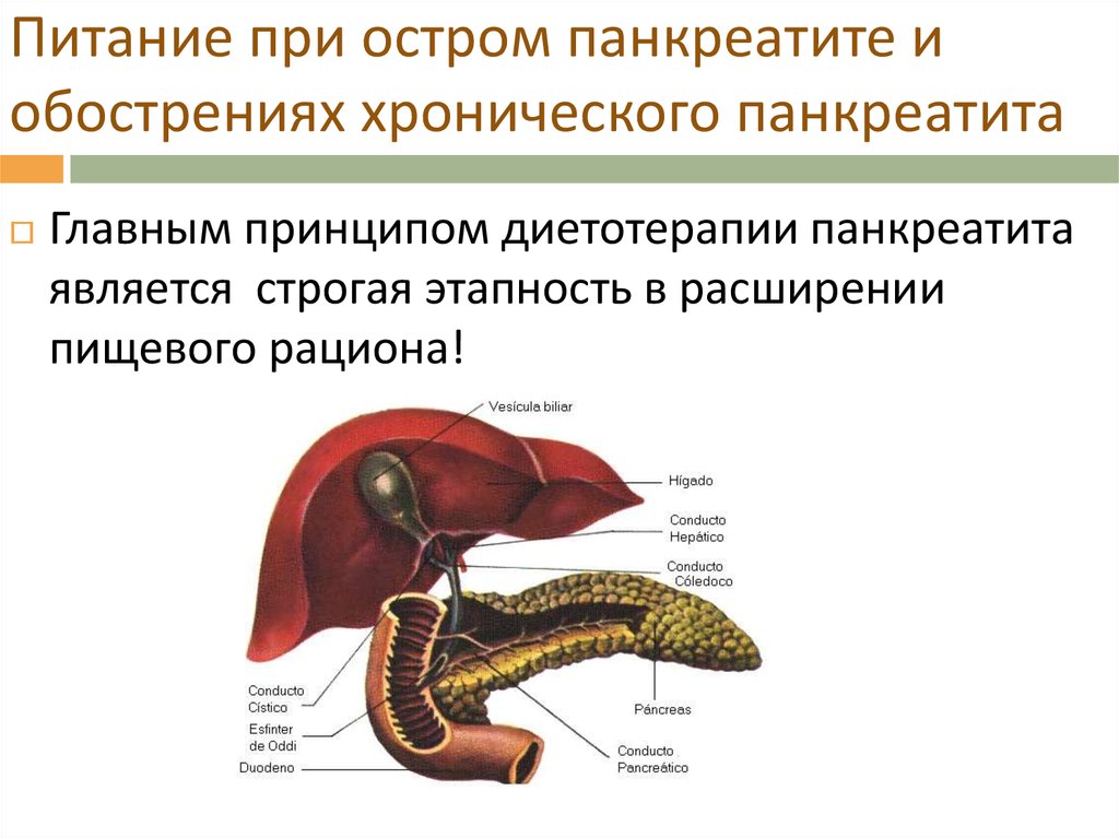 Можно ли при панкреатите. Обострение поджелудочной железы. Принципы диетотерапии при хроническом панкреатите. Острый и хронический панкреатит. Диетотерапии при остром и хроническом панкреатите.