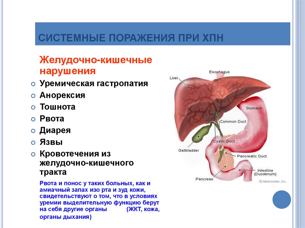 Почечная недостаточность это