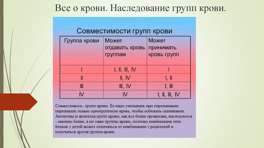 Схема групп крови родителей