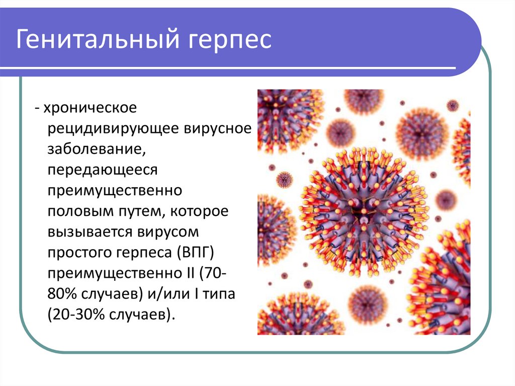 Вирус герпеса 6 типа