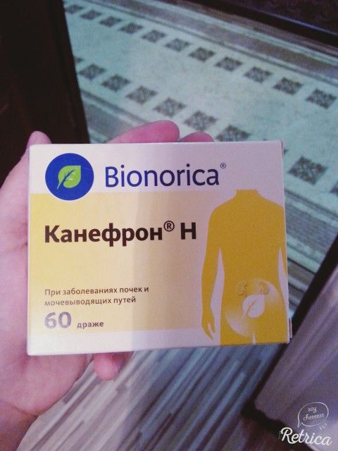 Как пить канефрон