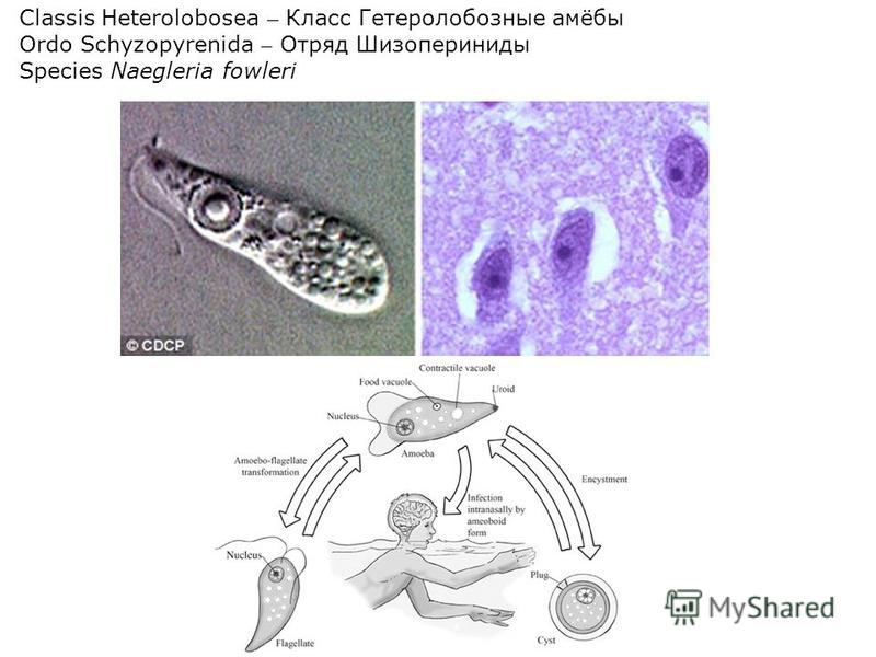 slide 14