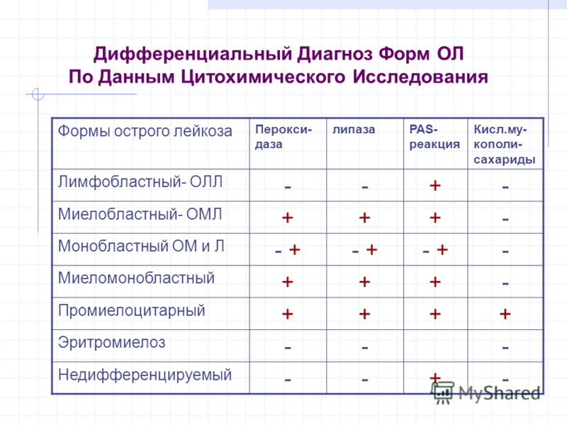 Диагностика лейкоза. Дифференциальный диагноз острого лейкоза. Диф диагностика острого лейкоза. Дифференциальная диагностика острого лимфобластного лейкоза. Хронический лимфолейкоз дифференциальный диагноз.