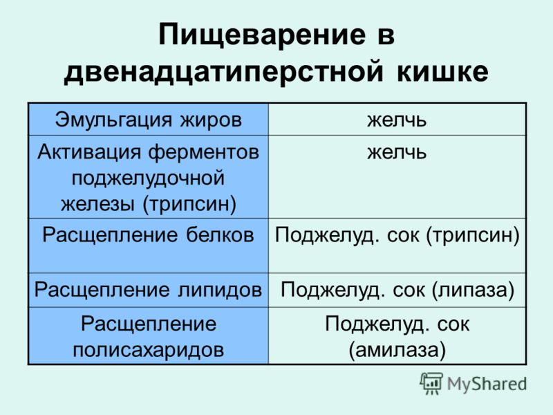 Фермент расщепляющий жиры. Ферменты двенадцатиперстной кишки таблица. Двенадцатиперстная кишка ферменты таблица. Пищеварение в желудке и двенадцатиперстной кишки таблица. Пищеварение в двенадцатиперстной кишке физиология.