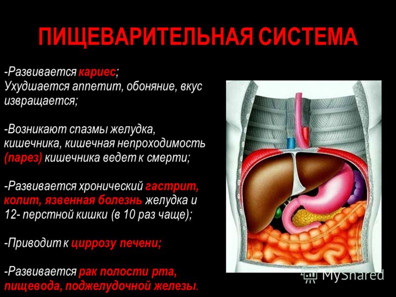 Колики в животе у взрослых. Спазмы в кишечнике симптомы и причины. Спазмы в желудке причины.