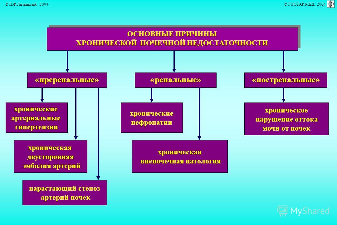 Причинами хронической почечной недостаточности являются. Хроническая болезнь почек патофизиология. Патогенез хронической почечной недостаточности схема. Патогенез почечной недостаточности патофизиология. Патогенез хронической почечной недостаточности патофизиология.