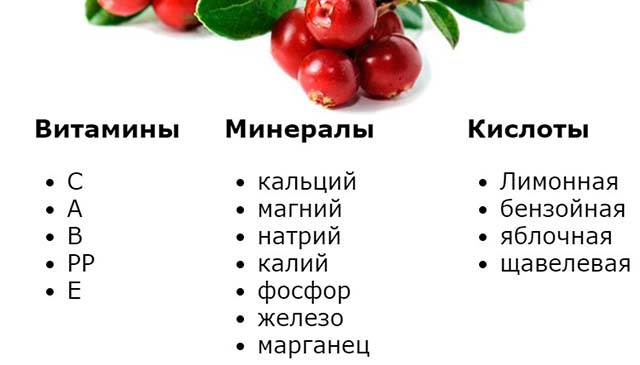 Брусника витамин с на 100 грамм. Клюква состав витаминов и микроэлементов. Брусника витамины. Клюква содержание витаминов и микроэлементов. Клюква брусника витамин с.