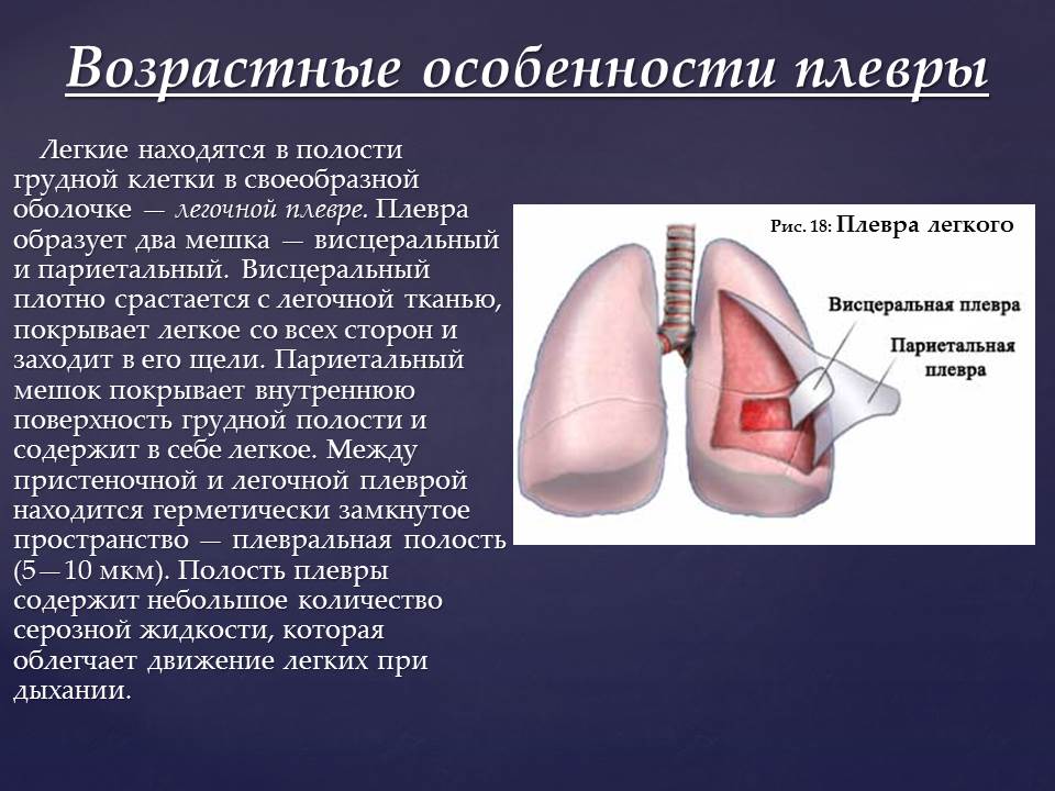 Плевральная полость это