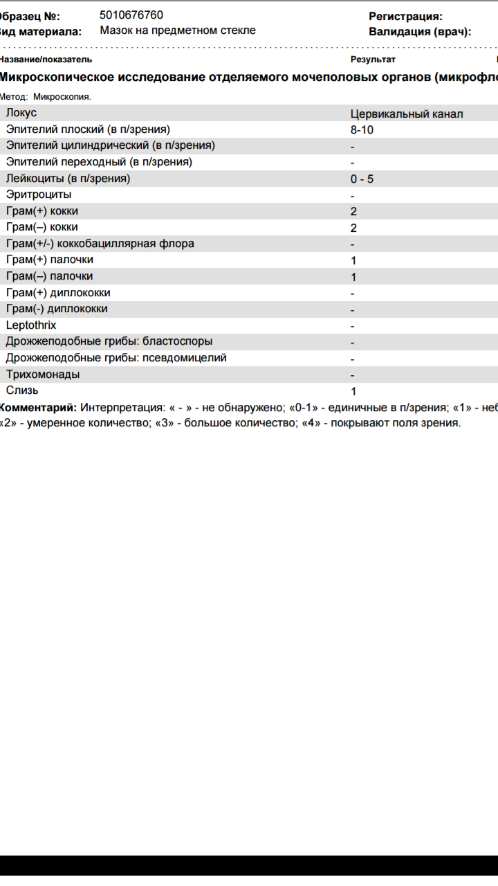 Микрофлора палочки умеренно. Микроскопия мазка отделяемого мочеполовых органов. Микроскопическое исследование урогенитальных мазков расшифровка. Лейкоциты микроскопическое исследование мазка расшифровка. Микроскопическое исследование гинекологического мазка норма.