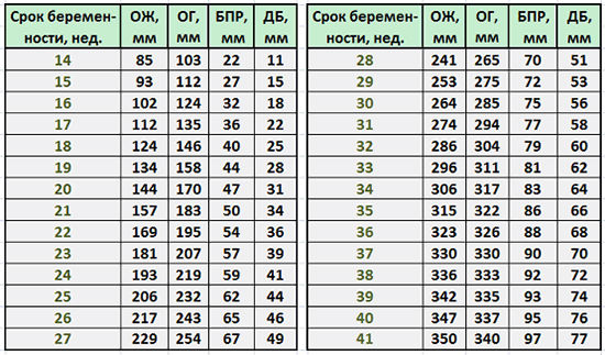 Размеры плода на УЗИ по неделям