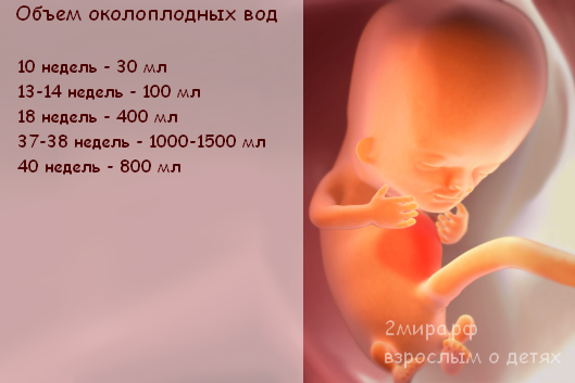 36 4 недели беременности. Объем околоплодных вод. 16 Недель размер ребенка. Размер ребенка на 16 неделе беременности. Объем жидкости в околоплодные воды.