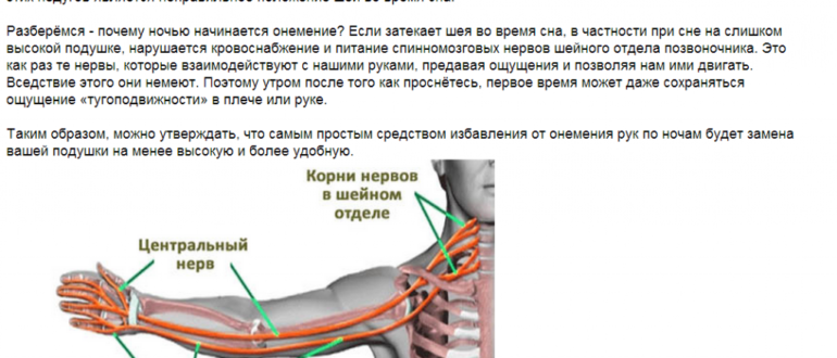 Ноющие боли в бедрах причины. Немеет правая рука от локтя до кисти. Онемение руки правой от кисти до плеча.