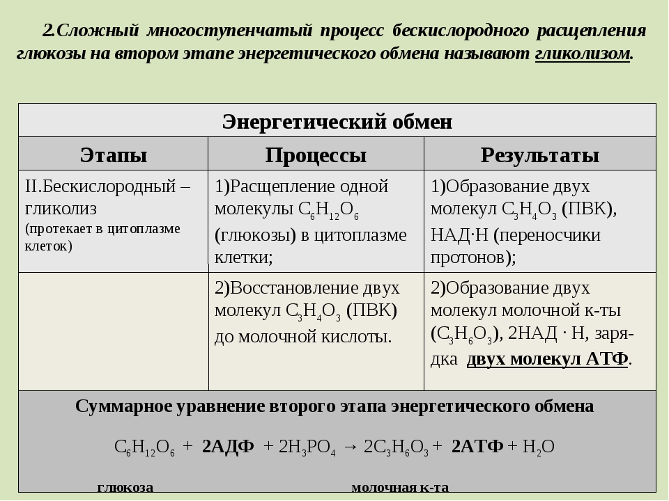 Реакция распада веществ энергия. Этапы энергетического обмена гликолиз. Этапы энергетического процесса. Второй этап энергетического обмена происходит. Этапы энергетического обмена схема.