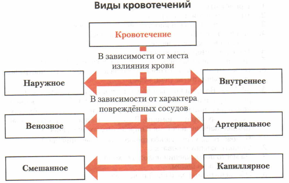 Виды кровотечений таблица. Наружные и внутренние кровотечения. Виды кровотечения внутренние и внешние. Внутреннее и внешнее кровотечение. Наружнее и внутреннее кровотечение.