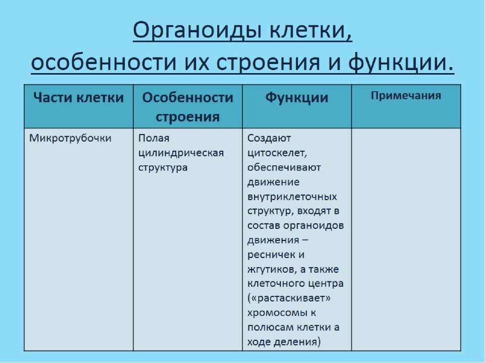 Особенности органоидов клетки. Цитоплазма функции органоида. Строение клетки клеточная мембрана цитоплазма ядро таблица. Клеточная мембрана строение и функции таблица. Органоиды цитоплазма строение и функции.