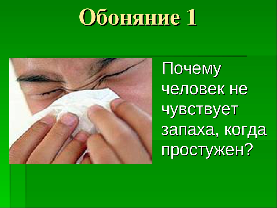 Как восстановить вкус и запах при простуде
