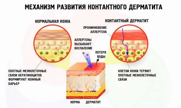 Иллюстрация 2