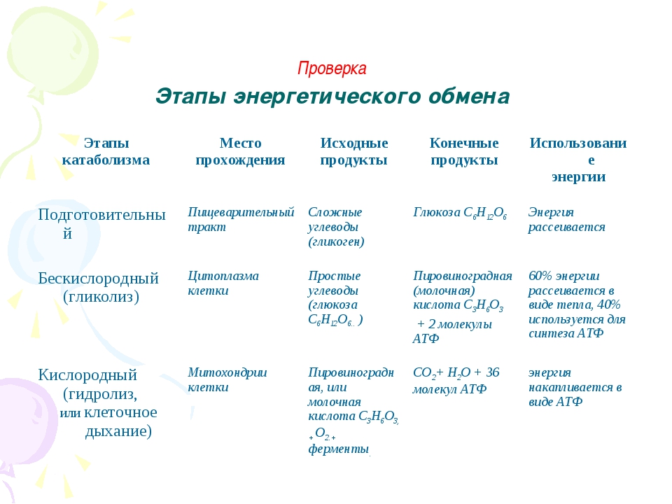 Виды подготовительных этапов. 3 Этапа энергетического обмена таблица. Стадии энергетического обмена таблица. Таблица по биологии 10 класс этапы энергетического обмена. Этапы энергетического обмена таблица.