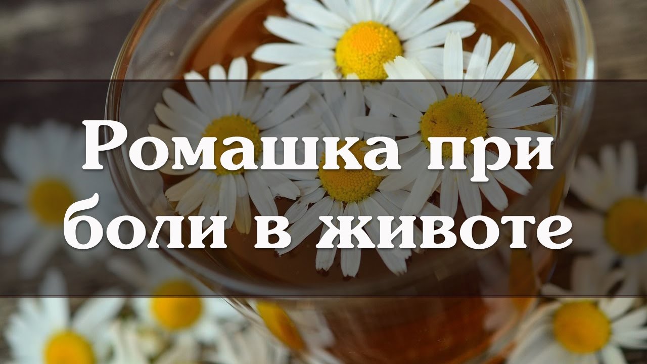 Можно ли пить ромашку. Ромашка от боли в животе. Ромашка при боли в животе. Ромашка от боли в желудке. Ромашка при боли в желудке.