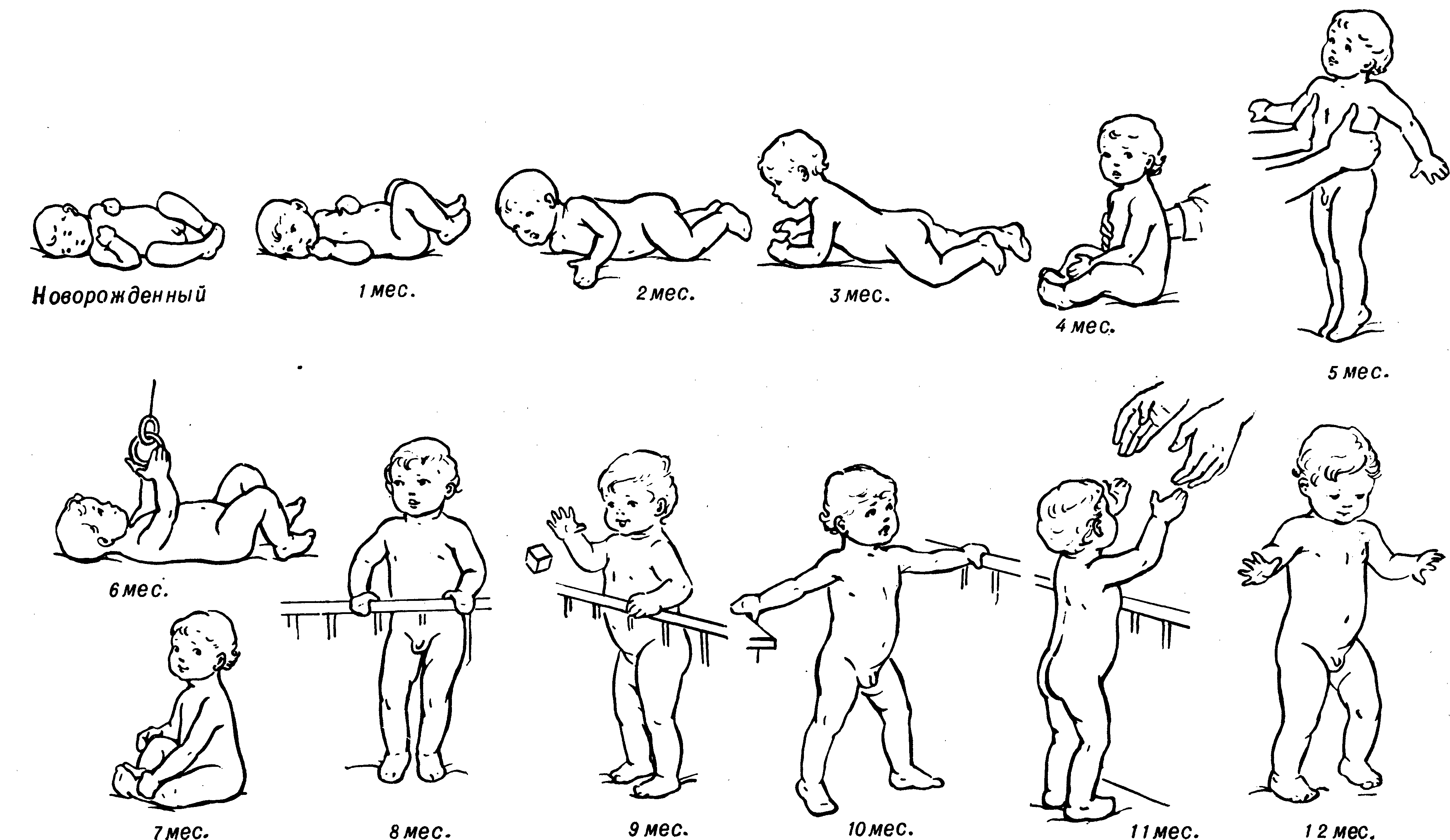 1 год и 4 месяца. Онтогенез двигательного развития ребенка таблица. Стадии развития новорожденного ребенка по месяцам. Этапы развития грудничка по месяцам до года. Этапы развития ребенка по месяцам от рождения.
