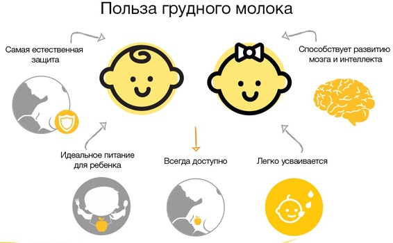 Прикорм для грудничков по месяцам. Таблица ВОЗ с 4-5-6 месяцев на грудном, искусственном вскармливании