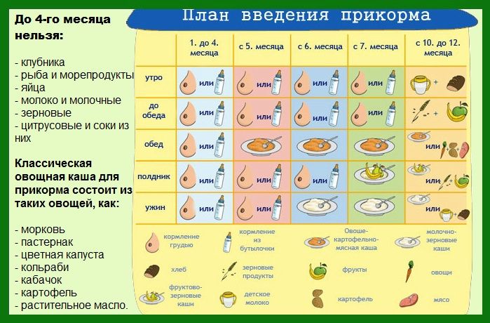 Прикорм для грудничков по месяцам. Таблица ВОЗ с 4-5-6 месяцев на грудном, искусственном вскармливании