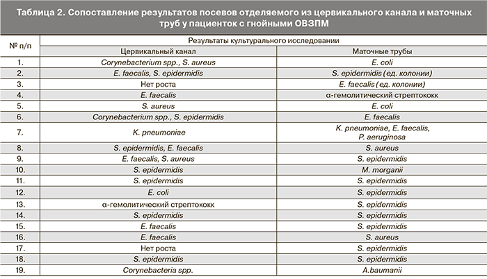 Стафилококк соскоб. Бактериологическое исследование из цервикального канала. Бакпосев цервикального канала. Цервикальный канал для бактериологических исследований. Бак посев отделяемого цервикального канала.