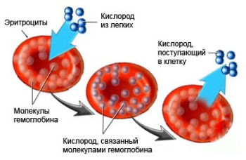 Информационная картинка