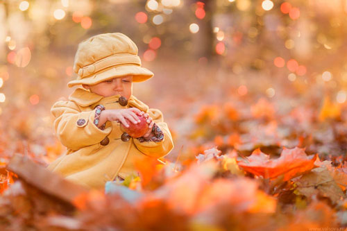 Стихи про осень для детей 5 лет