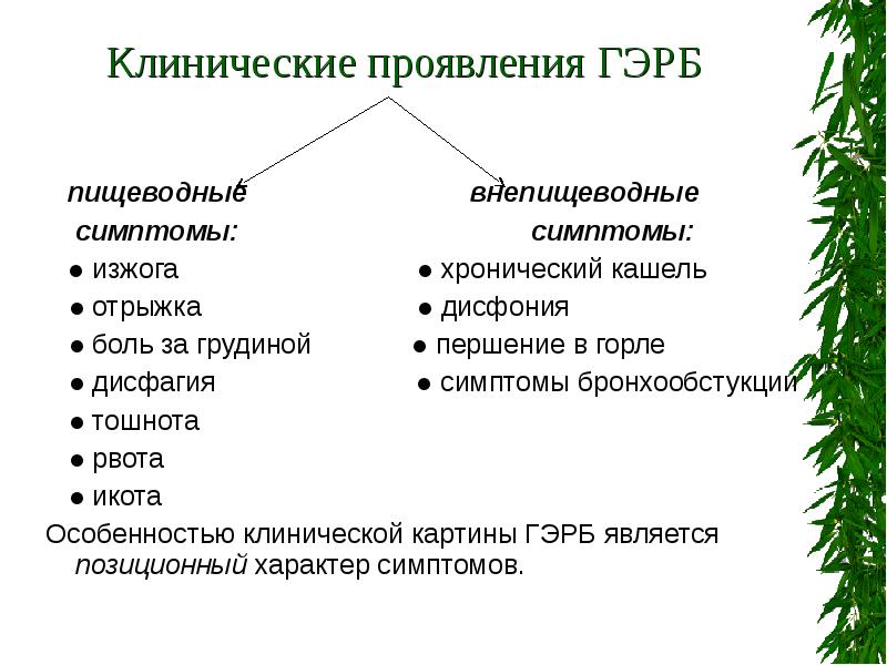 Рефлюксная болезнь симптомы у взрослых лечение