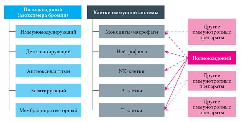 Эффекты иммуномодулятора