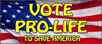 Vote Pro-life 2020