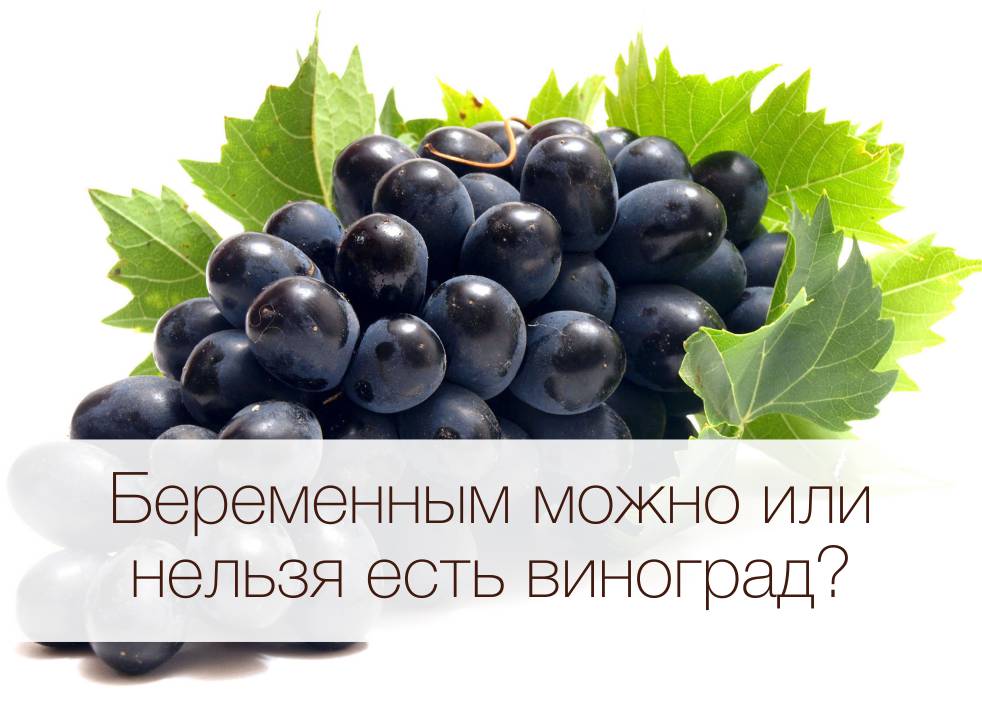 Виноград при гв. Нельзя есть виноград. Виноград для диабетиков. Можно ли кушать виноград беременным. Красный виноград при беременности.