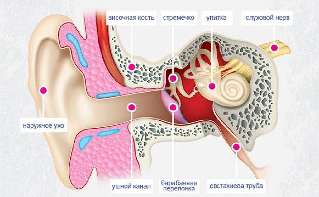 Шум среднего уха. Причина заложенности в ухе. Свист в ухе и снижение слуха.