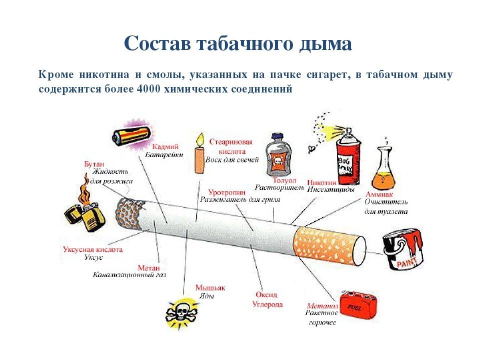 Что будет если съесть сигарету. Состав табачного дыма никотин. Курение и его влияние на здоровье человека ОБЖ. Строение сигареты. Что содержится в табачном дыме.