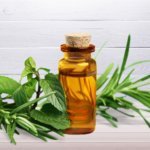 tea tree essential oil