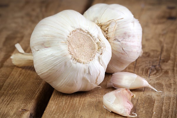 garlic for adenoids