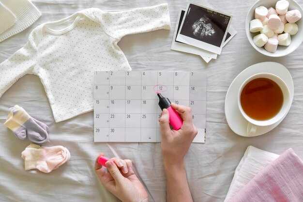 Как работают менструальный цикл и овуляция